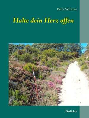 cover image of Halte dein Herz offen